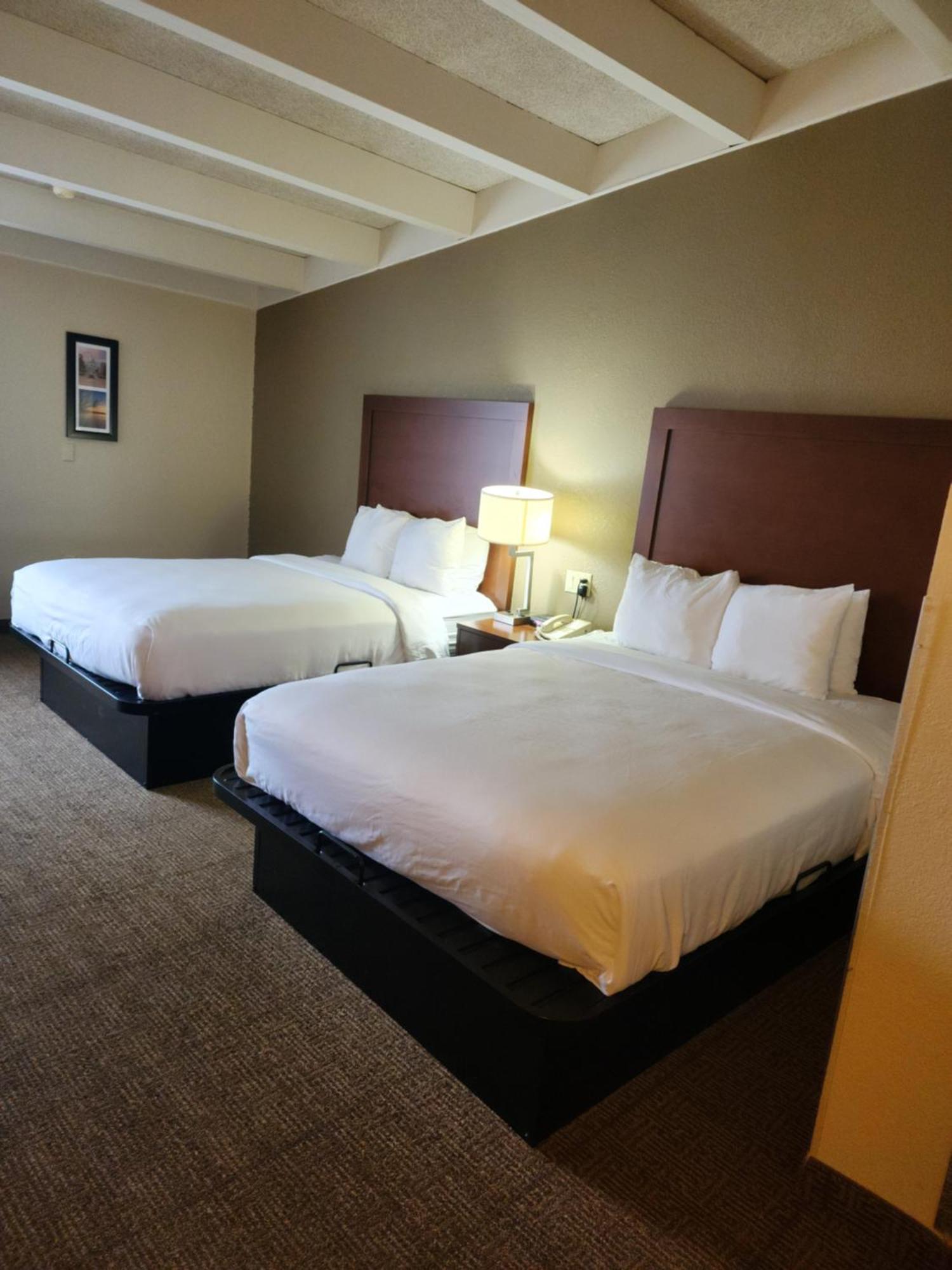 Comfort Inn & Suites Madison - Airport Luaran gambar